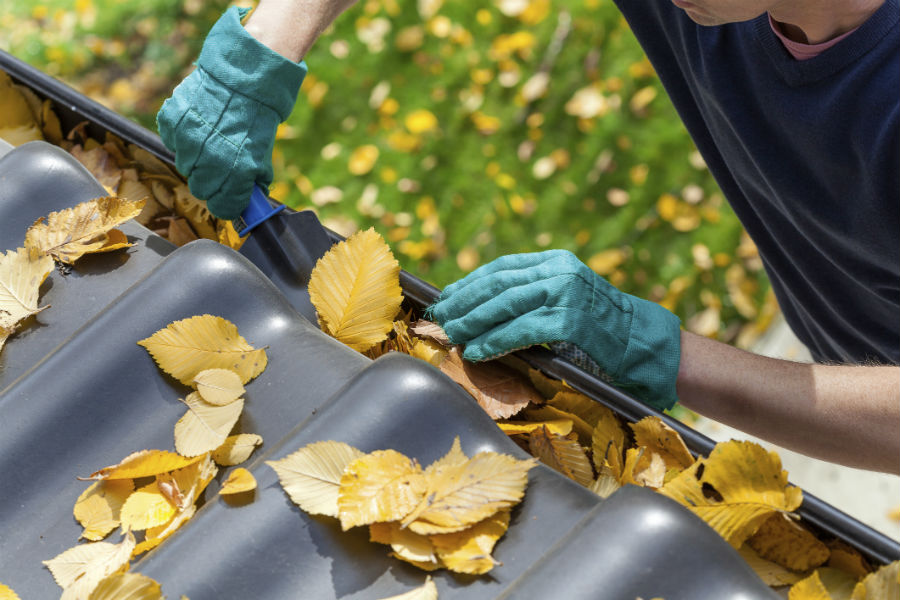 gutter cleaning